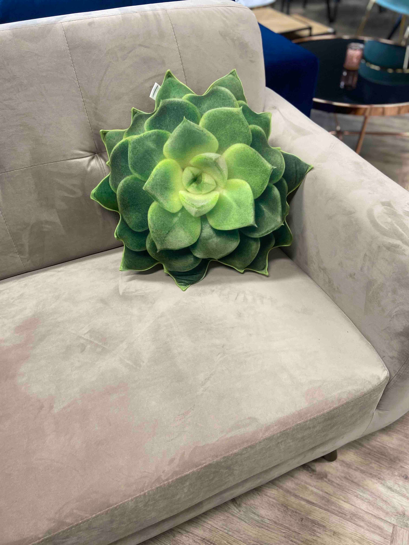 Succulent Pillow / Green Succulent / Echeveria Pillow / Plant Etsy