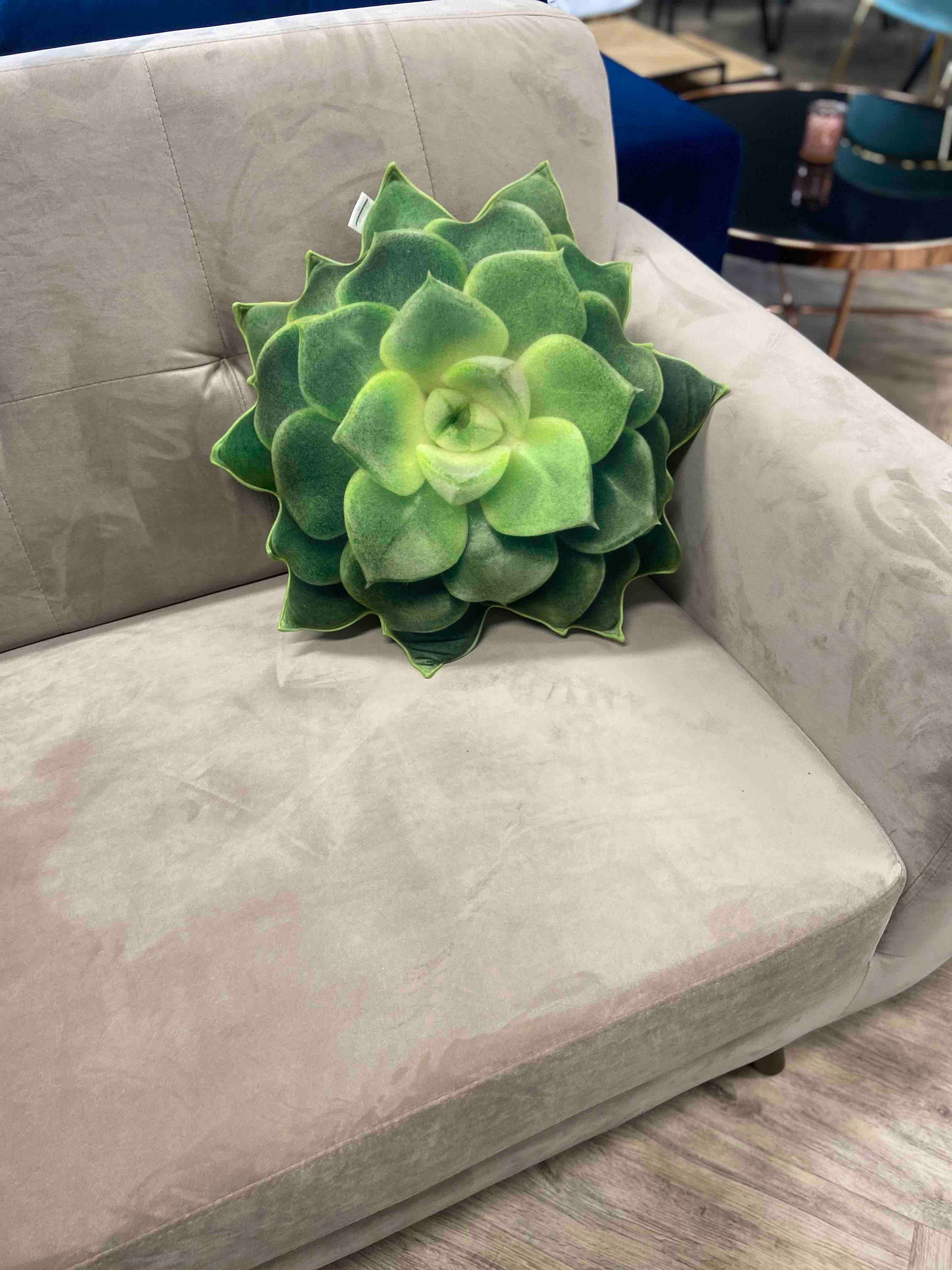 Succulent Pillow / Green Succulent / Echeveria Pillow / Plant Etsy
