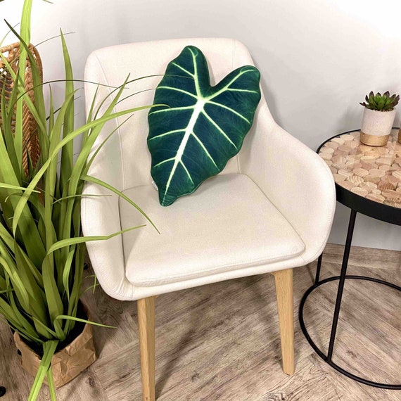 Alocasia Frydek - Forest Green