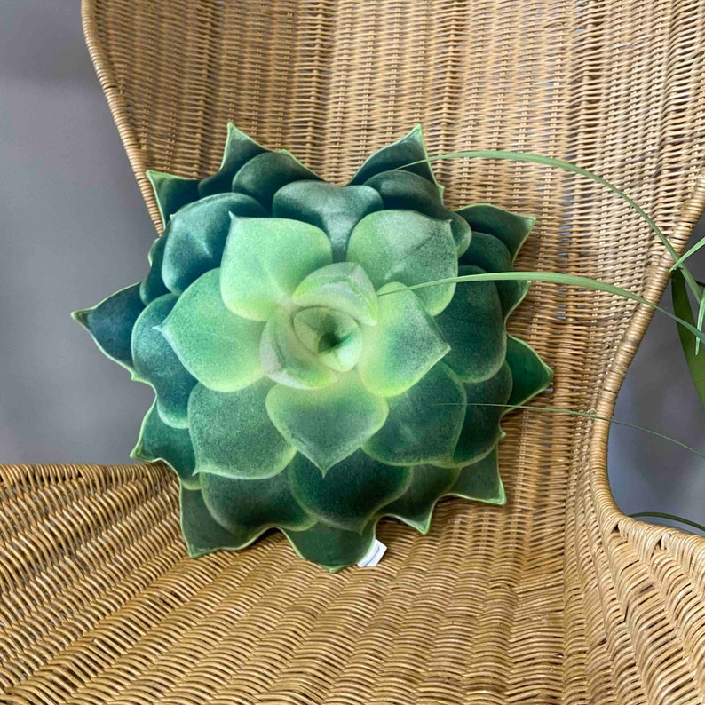 Succulent pillow / green succulent / Echeveria pillow / plant pillow / succulent cushion / succulent lovers / plant shaped pillow image 2