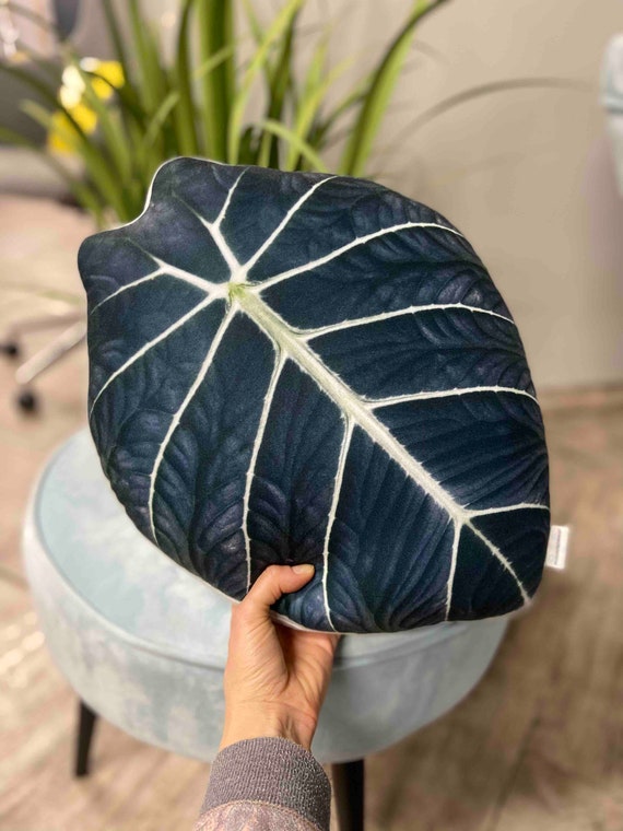 Alocasia Black Velvet Leaf Pillow, Unique Plant Decor - Etsy