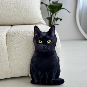cat pillow / black cat / pet pillow / cat lover gift / cat shape pillow / black cat design/ black cat themed / 3d pet pillow