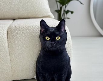Black Cat Pillow, pet pillow 3d, Cats Lover Gift