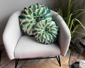 Succulent Aeonium pillow / Aeonium Sunburst / rare succulent / sukkulenten /pflanze kissen / variegated succulent cushion / succulent plush