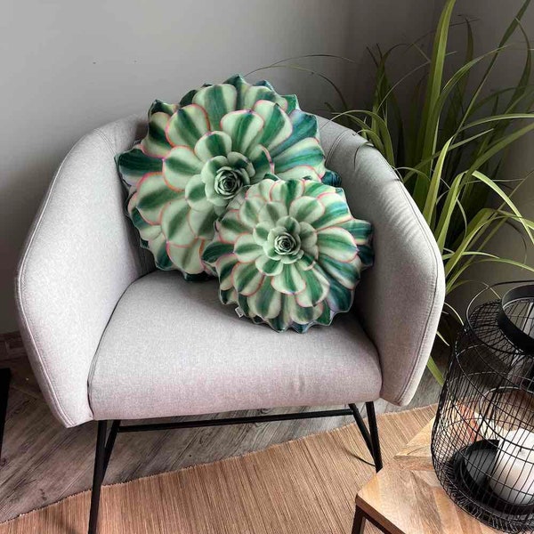 Succulent Aeonium pillow / Aeonium Sunburst / rare succulent / sukkulenten /pflanze kissen / variegated succulent cushion / succulent plush