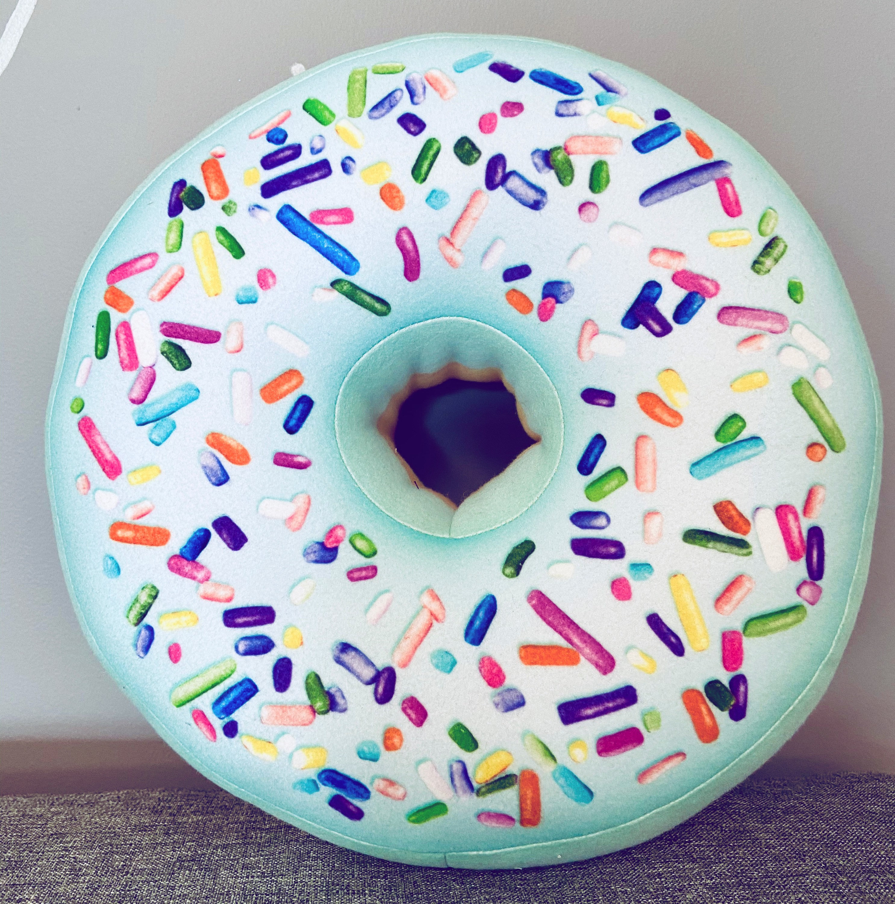 Donut Pillow / Mint pillow / Pillow / Doughnut Cushion / Food Etsy