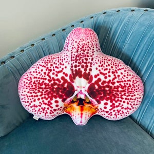 Orchid pillow / orchids / plant pillow / Phalaenopsis / Orchidaceae / orchidée / flower houseplant / plant lover/ flower decor