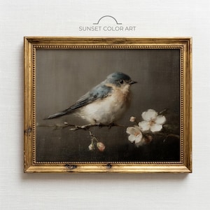 May include: A framed vintage-style painting featuring a blue and white bird perched on a branch with white blossoms. The artwork is set against a dark background and framed in a gold ornate frame. The text "SUNSET COLOR ART" is at the top.