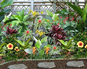 Say Aloha in a Polynesian Paradise