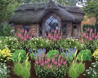 Be Free in a Whimsical Cottage Garden