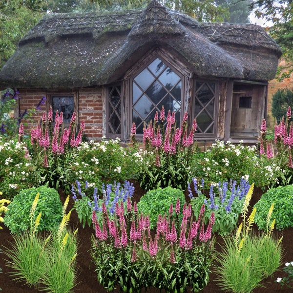 Be Free in a Whimsical Cottage Garden