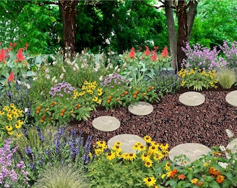 Welcome the Butterflies, Birds & Bees with a Pollinator Garden