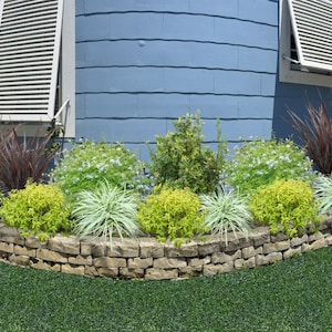 Bold Foliage for a Low Maintenance Bed