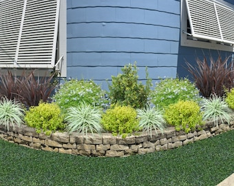 Bold Foliage for a Low Maintenance Bed