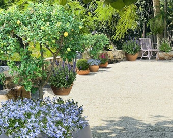 Mediterranean-Style Tuscan Garden