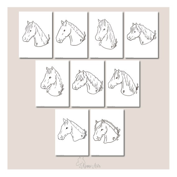 Ausmalbilder Pferde Und Ponys Ravensburger Pferde Malen Und Träumen