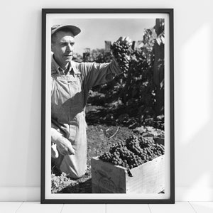 Vintage Wine Print, Wine Wall Art, Wine Poster, Wine Gift, Vineyard Print, Kitchen Wall Art, Black and White Art, Wine Art, Wine Lover Gift