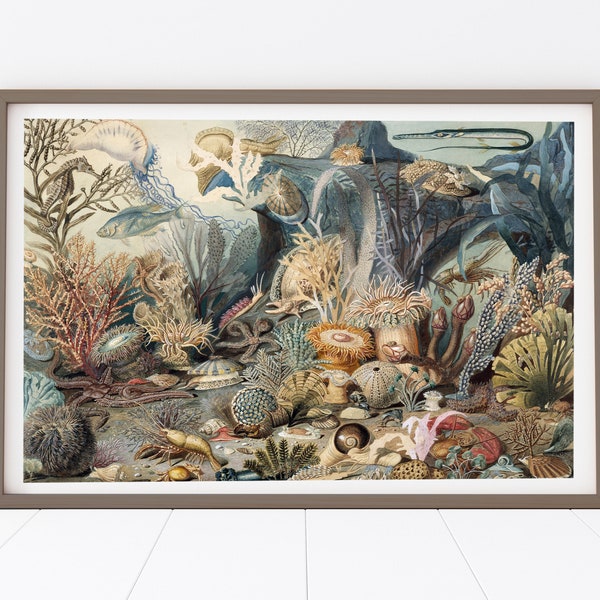 Sealife Prints - Etsy