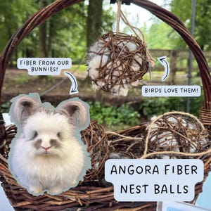 May include: A wicker basket holds Angora fiber nest balls, with a fluffy white and gray bunny in the foreground. The nest balls are made of woven twigs and filled with soft, white fiber. Text reads "Fiber from our bunnies!" and "Birds love them!"