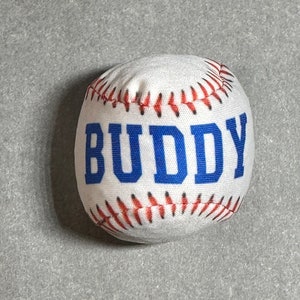 May include: White baseball with red stitching and the name "BUDDY" printed in blue letters.