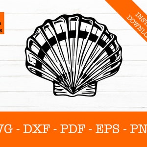 Shell svg, Seashell Svg, Beach Svg, Silhouette Shadow SVG Cut File - PNG - DXF - Cricut - Decal Shape Vector Clipart Instant Download