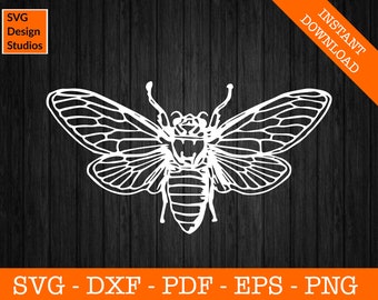 Cicada Svg, Brood X Svg, Locust Svg, Cicada Design Svg, Silhouette SVG Cut File - PNG - DXF - Cricut - Decal Shape Vector Clipart