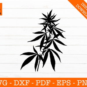 May include: Black silhouette of a cannabis plant with large, distinctive leaves. The image includes the text "SVG Design Studios" and "Instant Download" in an orange banner. Below the plant are the file types: SVG - DXF - PDF - EPS - PNG.