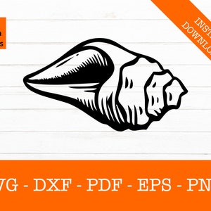 Conch Shell Seashell Beach svg Silhouette Shadow SVG Cut File - PNG - DXF - Cricut - Decal Shape Vector Clipart Instant Download