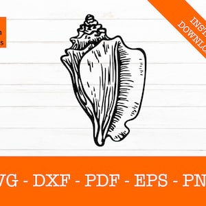 May include: A black and white line drawing of a seashell. The shell is detailed and intricate, with a pointed tip and a curved, open shape.