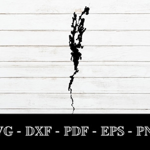 Lake Champlain New York, Vermont Map Shape SVG Cut File - PNG - DXF - Cricut - Sommer Vektor Clipart Download