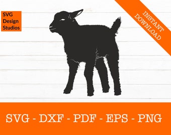 Lamb Svg, Baby Sheep Svg, Farm Svg, Shadow SVG Cut File - PNG - DXF - Cricut - Decal Shape Vector Clipart - Instant Download