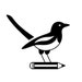 wisemagpie