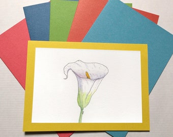 Lily greeting card, any occasion, hand drawn/hand painted card, sympathy card, birthday, Mother's Day, thank you, get well, thinking of you
