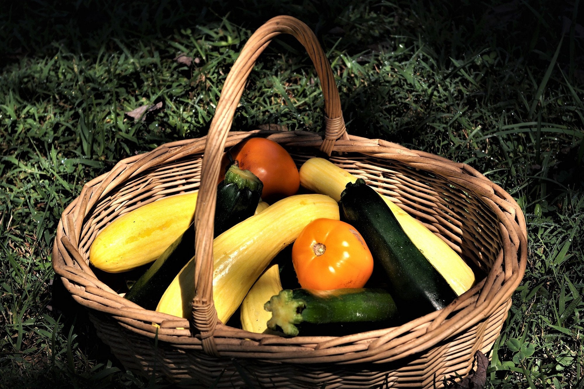 Set de Table Plastifié Panier Légumes