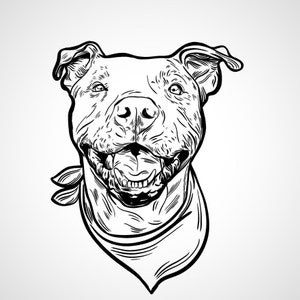 Custom cartoon vector drawing Cat & Dog portrait from photo - Digital SVG download for DIY proyects