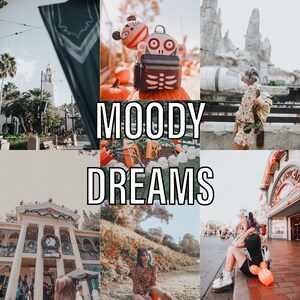 5 Mobile LR presets- MOODY DREAMS pack