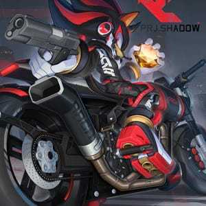 May include: A digital illustration of the character Shadow the Hedgehog riding a black and red motorcycle. Shadow holds a handgun and a glowing yellow gem. The text PRJ.SHADOW and a red logo appear at the top, with SHADOW X ARCH at the bottom.