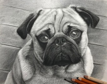 Custom Hand Drawn Pet Portrait, Pencil Sketch Pet Portrait | Graphite Pet Gift, custom pet memorial | drawing from photo