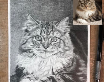 Pet portrait sketch, Cat Drawing, Custom Cat Portrait from photo, Personalized Pet Memorial Gifts