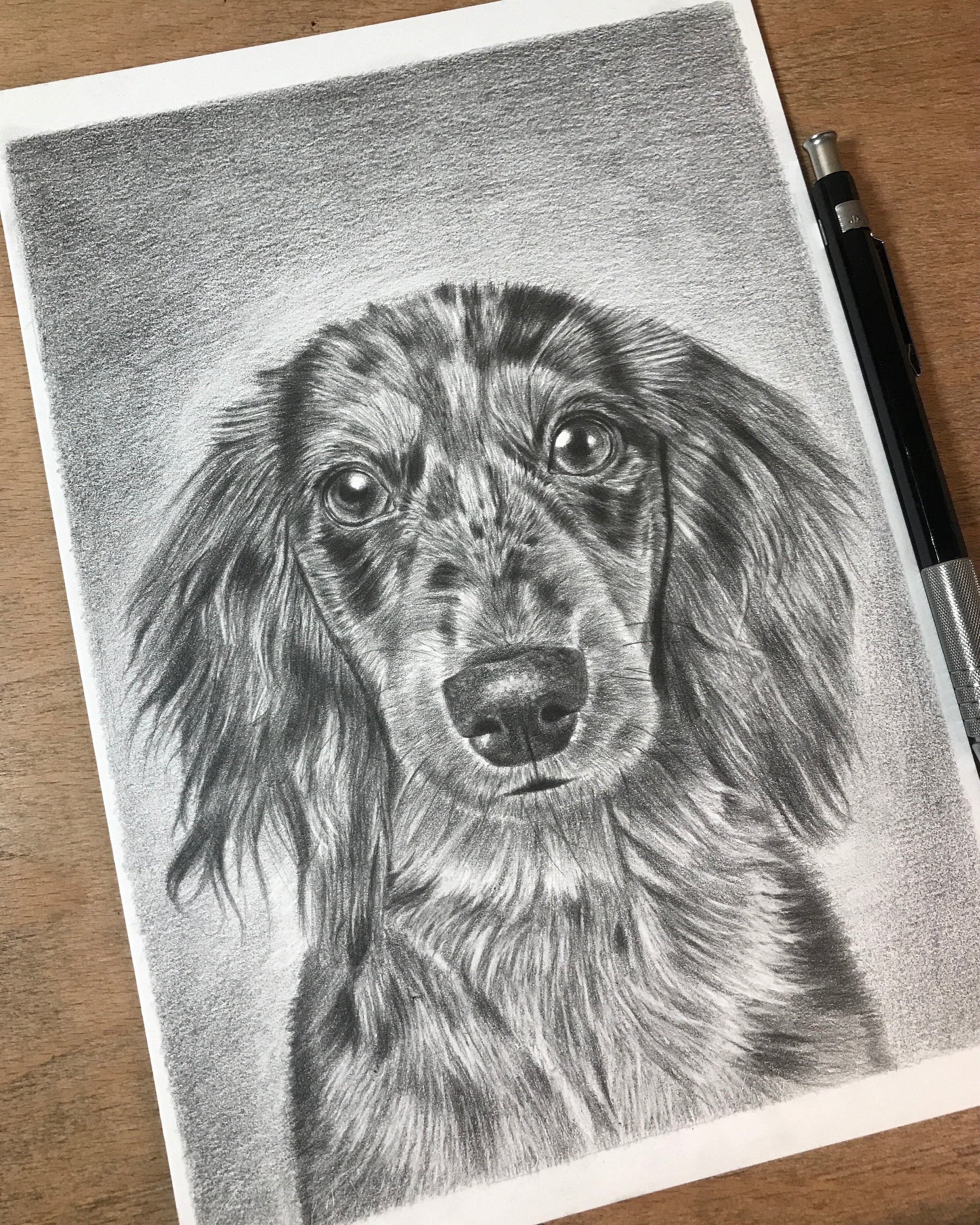 Custom Hand Drawn Pet Portrait, Pencil Sketch Pet Portrait Graphite Pet ...