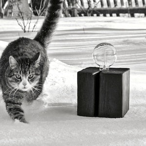 May include: A black and white photo of a tabby cat walking through the snow towards a wooden lamp with a clear glass globe. The lamp is on a wooden base.