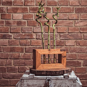 Wooden retro vase. Unique wooden vase. Triple vase in frame. Decoration of the house. For flowers. Table decoration. Wood vase image 4
