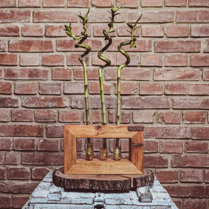 Wooden retro vase. Unique wooden vase. Triple vase in frame. Decoration of the house. For flowers. Table decoration. Wood vase image 8