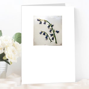 Bluebell Pewter Card