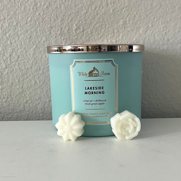 Bath and Body Works Lakeside Morning Wax Melts