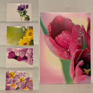 Satz von 5 GrußKarte Postkarten mit Umschlägen Frühling Blumen Geschenke Karten Blumen design Stiefmütterchen Lilas gelb Gerbera Tulpen Anemone