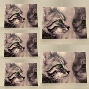 Set di 5 cartoline di auguri cartoline con buste carte regalo animale gatto dagli occhi verdi gattino