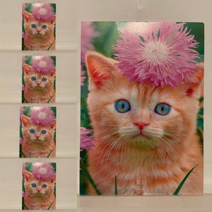 Set di 5 biglietti d'auguri con buste, biglietti d'auguri, carte regalo, gatto, animale, creature coccolose, fiore, gattino