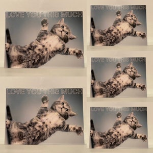 Conjunto de 5 tarjetas de felicitación, postales con sobres, tarjetas de regalo, gato, animal, gatito, criaturas adorables, te amo.