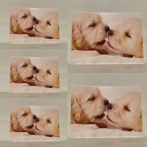 Satz von 5 GrußKarte Postkarten mit Umschlägen Geschenke Karten Tiere Hund Welpen Liebe